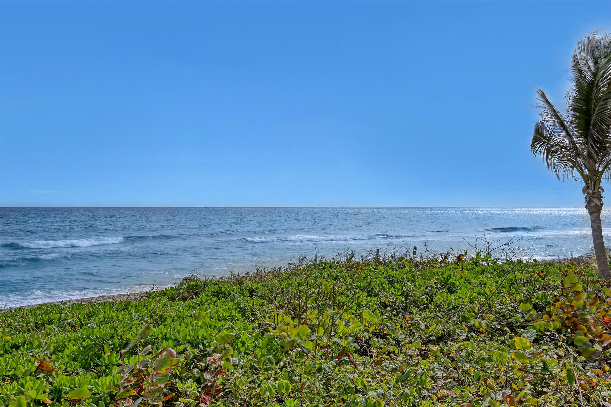 AMBASSADORS V SOUTH CONDO - Residential Lease