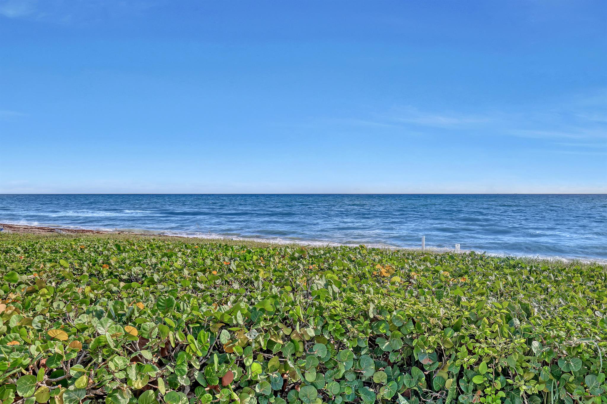 AMBASSADORS V SOUTH CONDO - Residential Lease