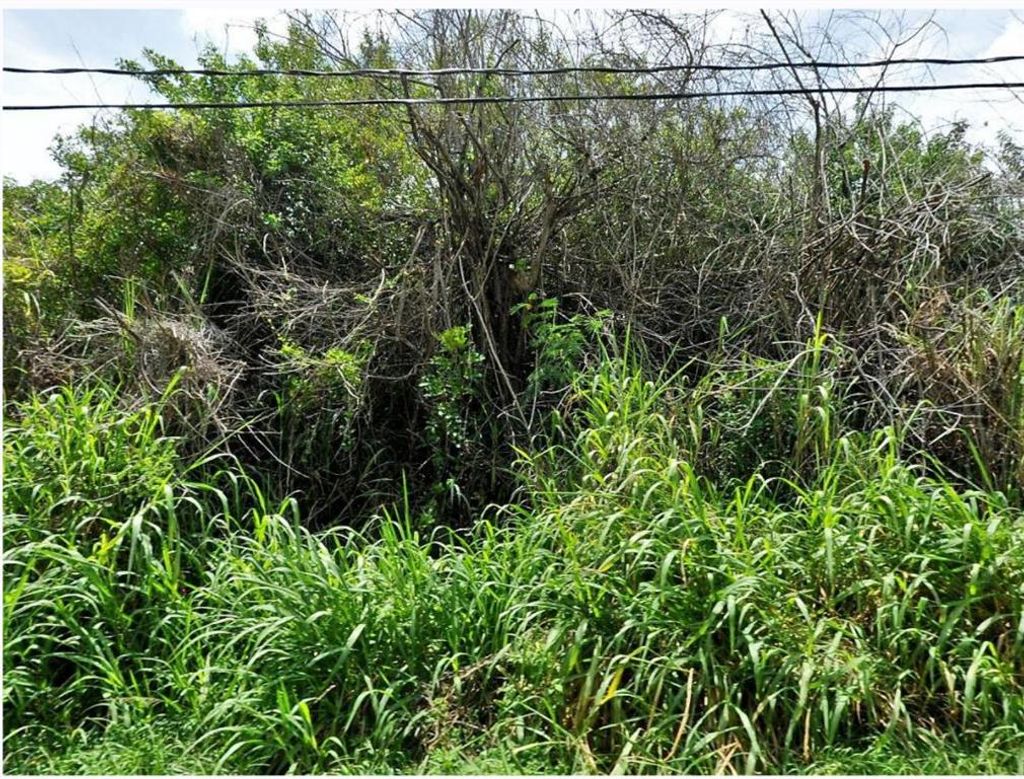 Photo of 692 SW Violet Avenue, Port Saint Lucie, FL 34983 (MLS # R10697843)