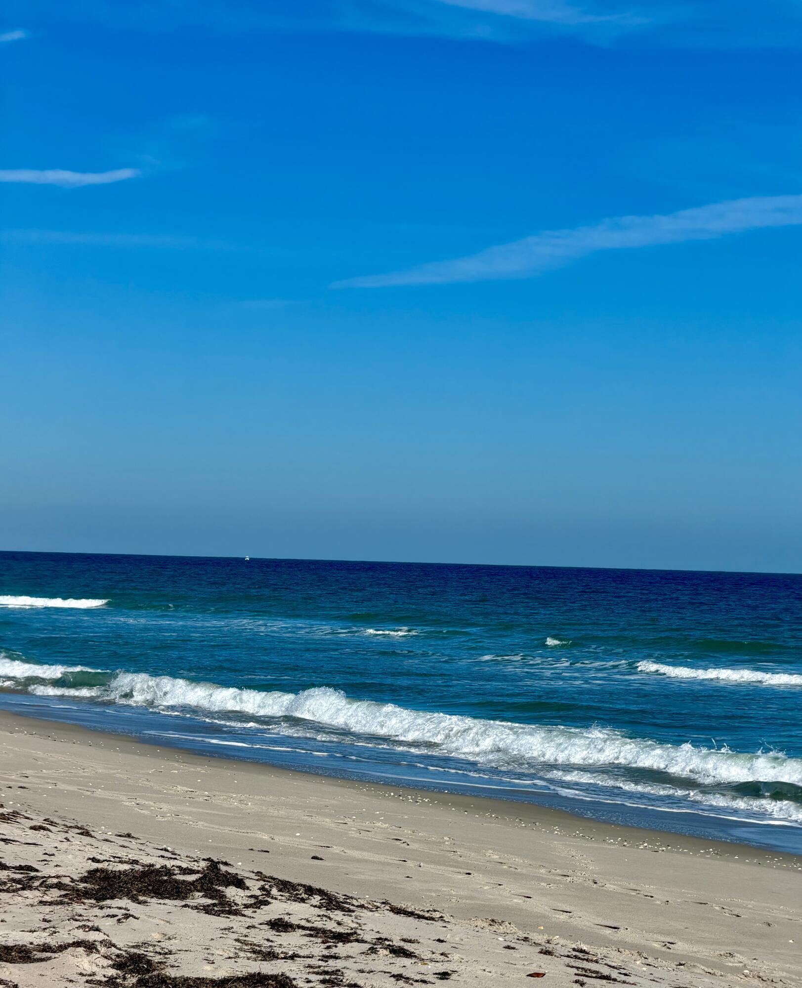OCEAN HARBOUR VILLAS CONDOMINIUM - Residential Lease