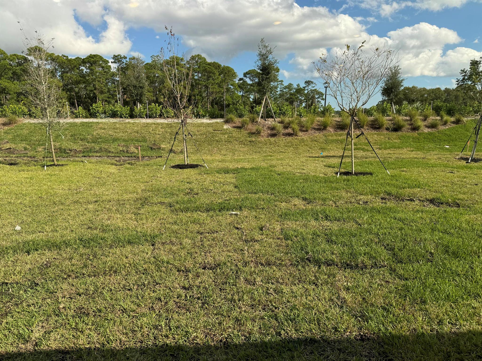 LTC RANCH WEST POD 2 PHAS - Residential Lease