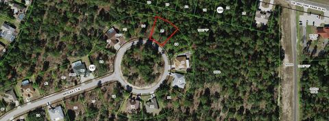 29 Smilax Court N Homosassa FL 34446