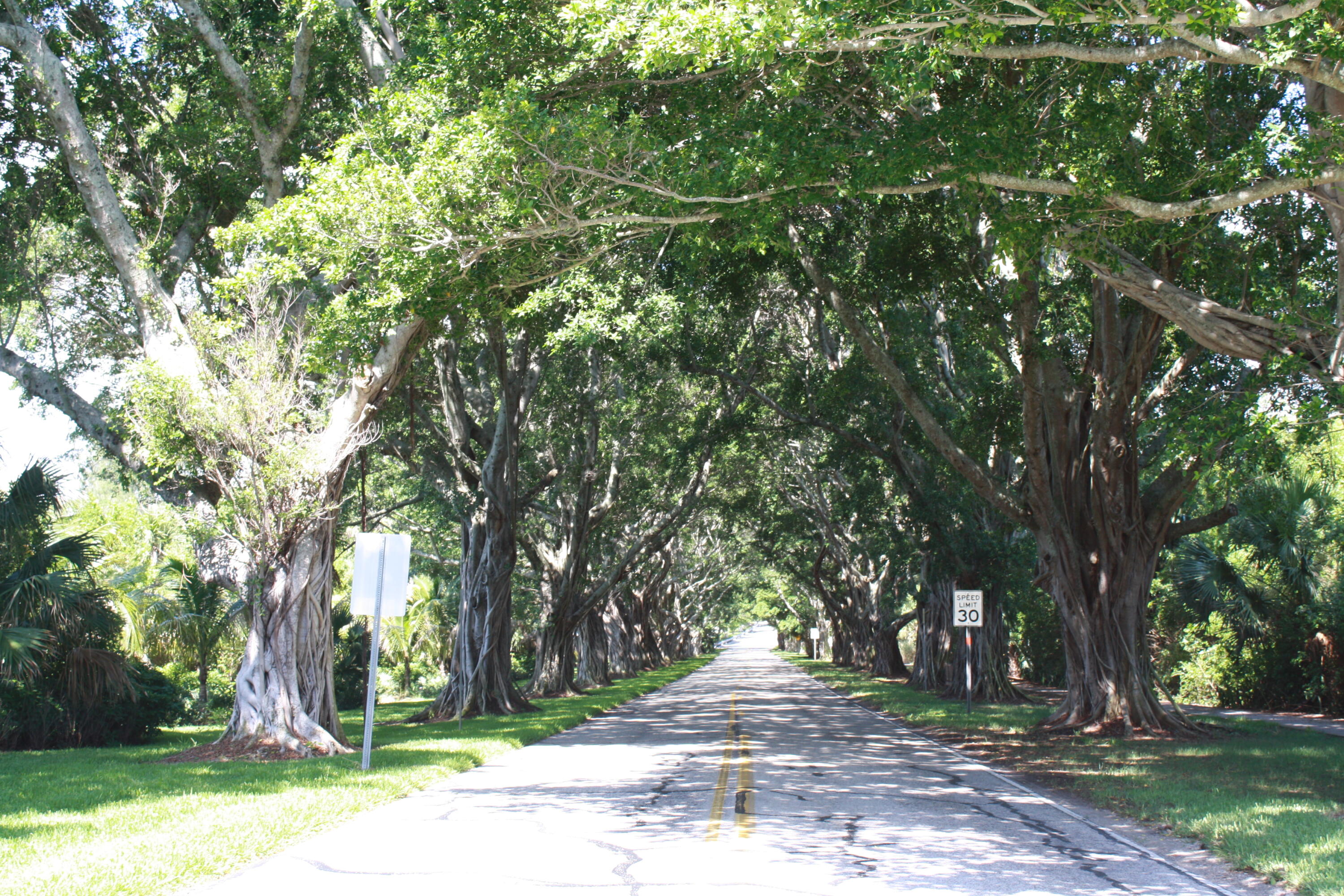 SUGAR SANDS RIDGE - Residential