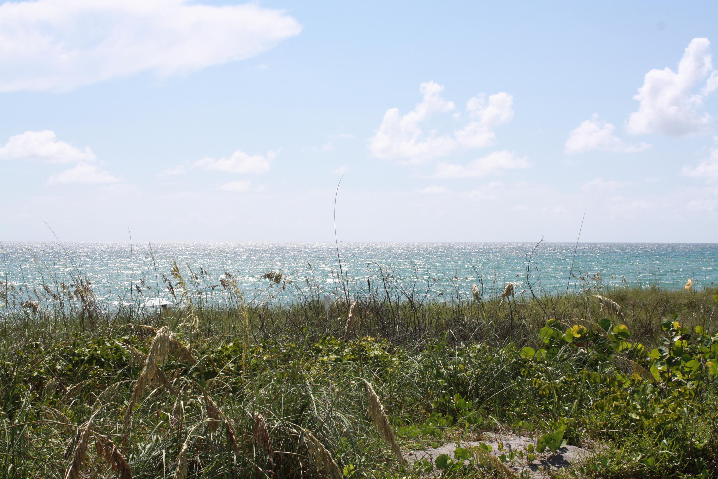 SUGAR SANDS RIDGE - Residential