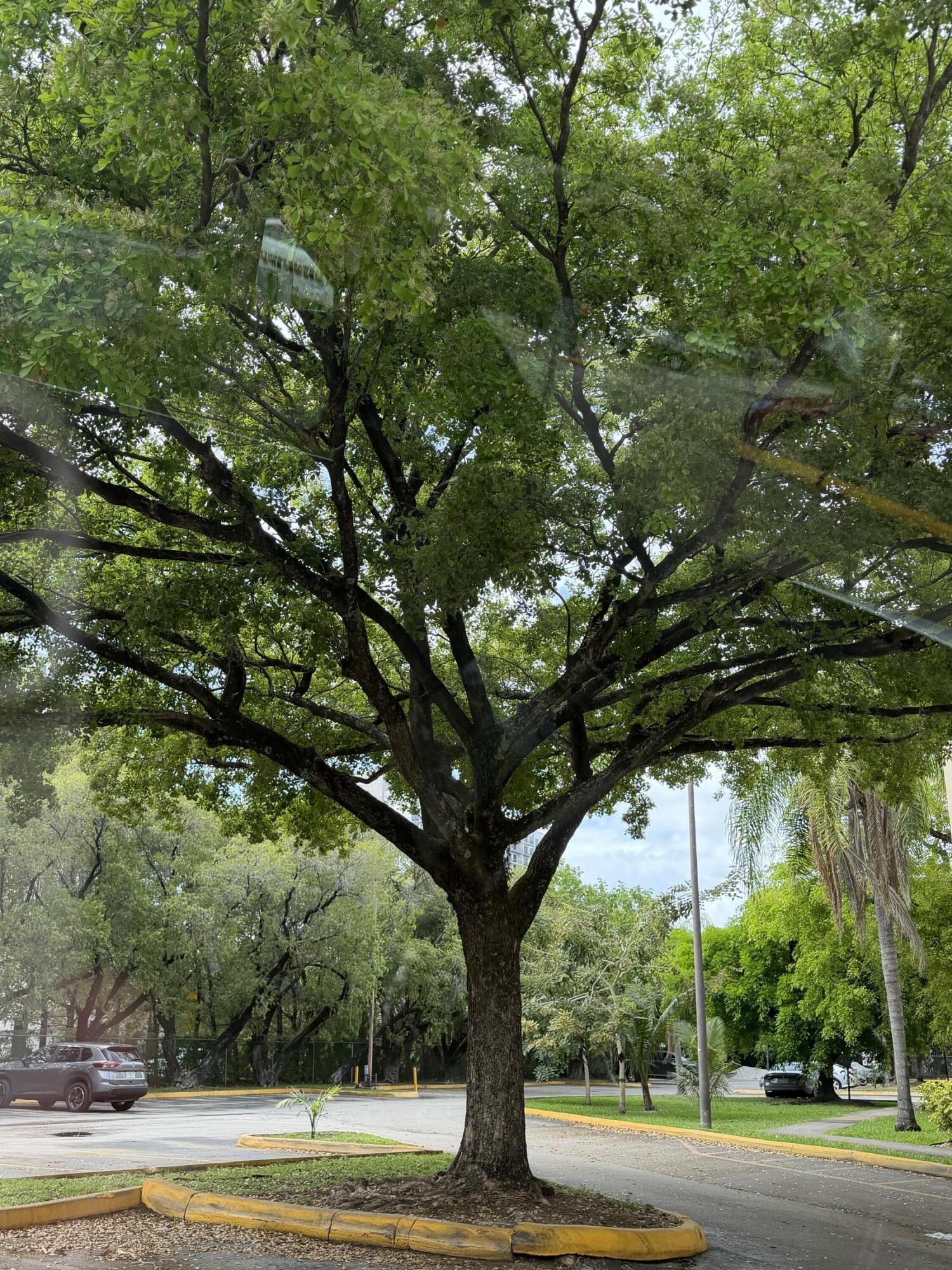 LAS VISTAS AT DORAL CONDO - Residential Lease