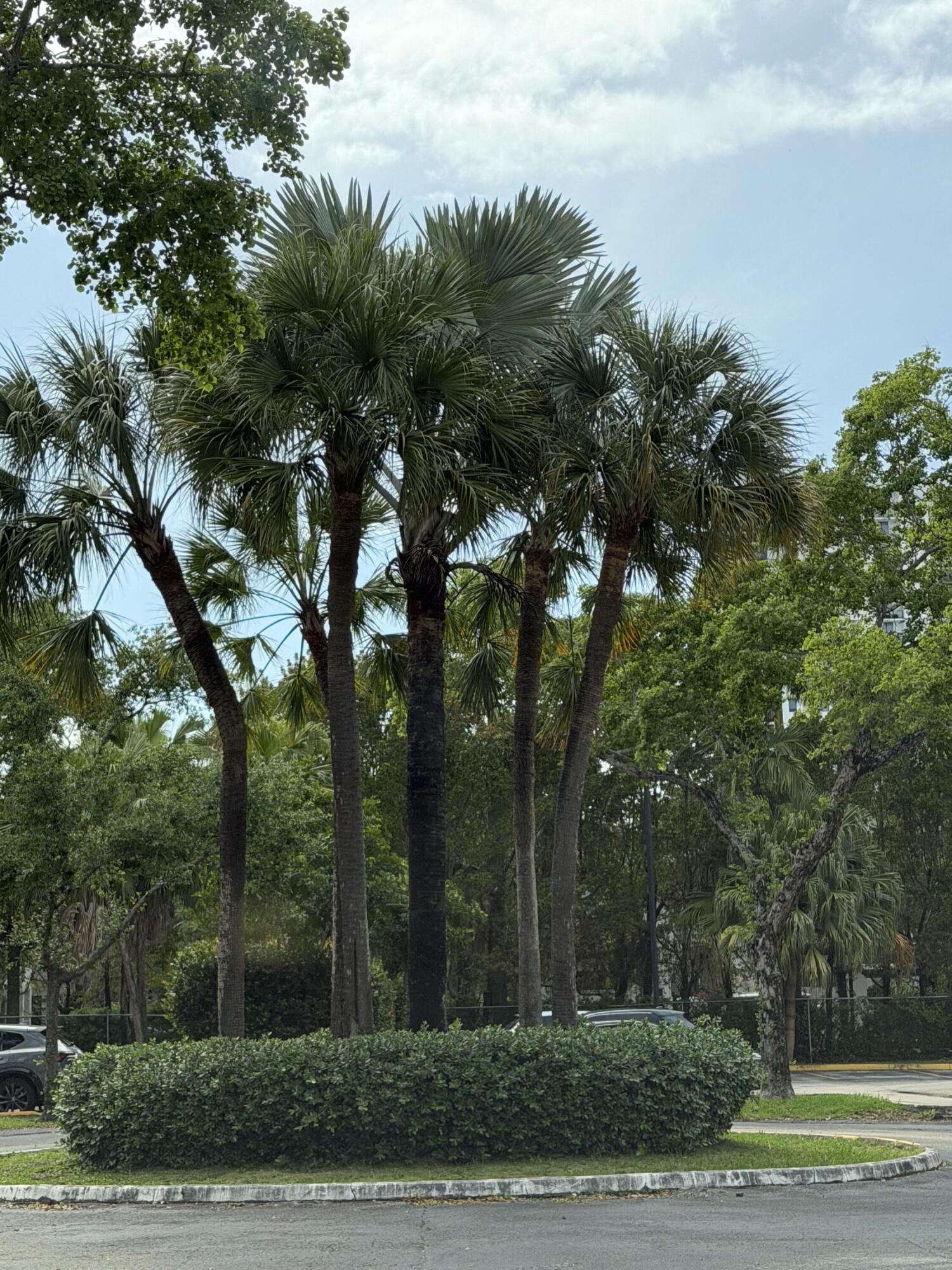 LAS VISTAS AT DORAL CONDO - Residential Lease