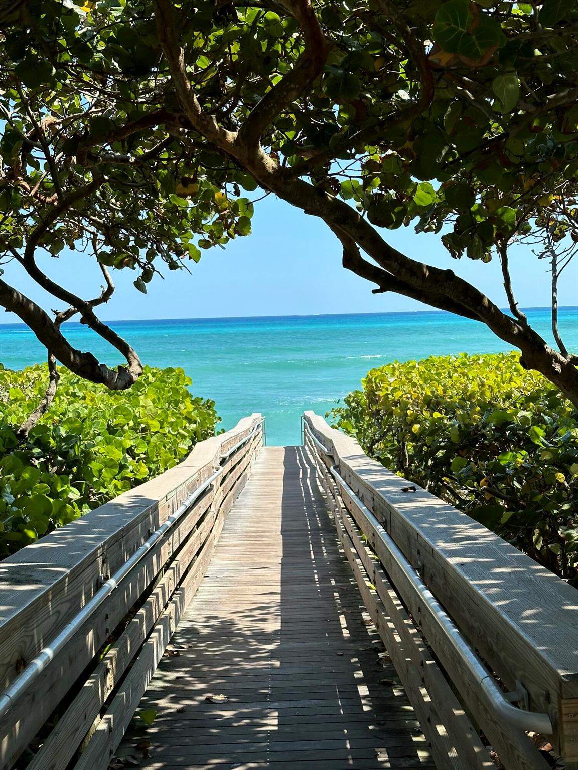 OCEANCREST CONDOMINIUM AP - Residential