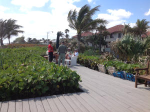 OCEAN MANOR - Residential Lease