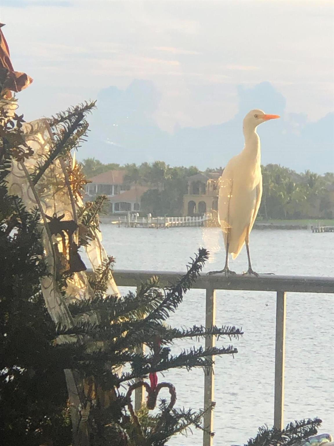 1206 S Lake Drive 301