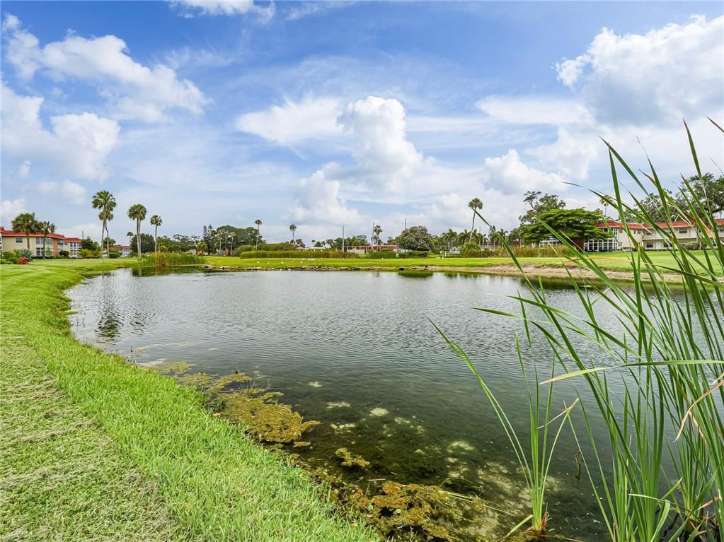 97 Spring Lake Drive 104