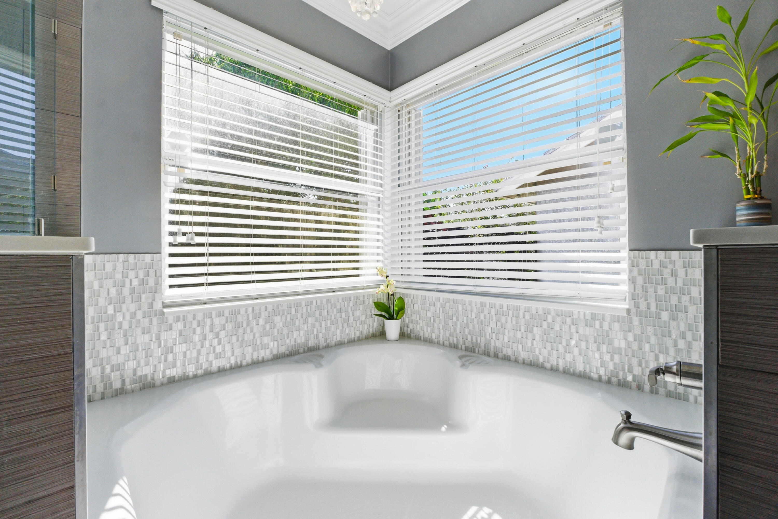 FOREST RIDGE SINGLE FAMILY V - Residential