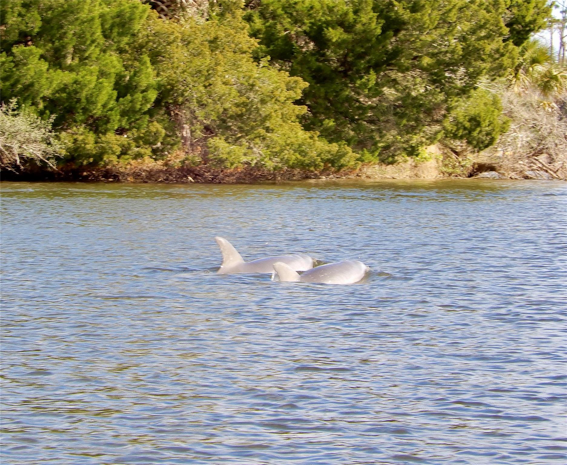 Palm Harbor - Residential