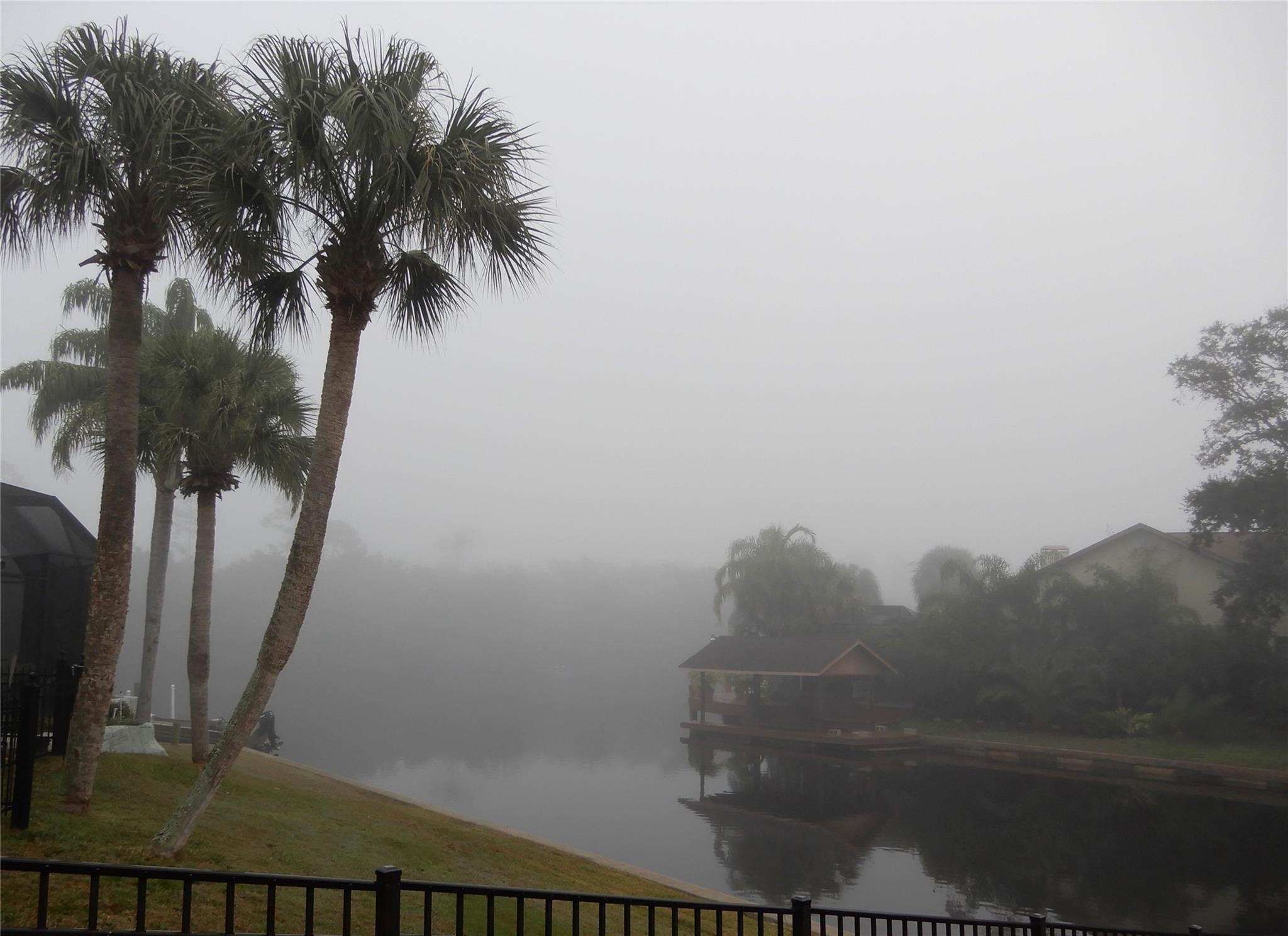 Palm Harbor - Residential