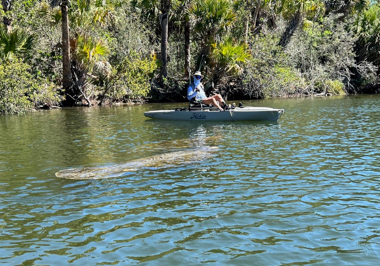 Palm Harbor - Residential