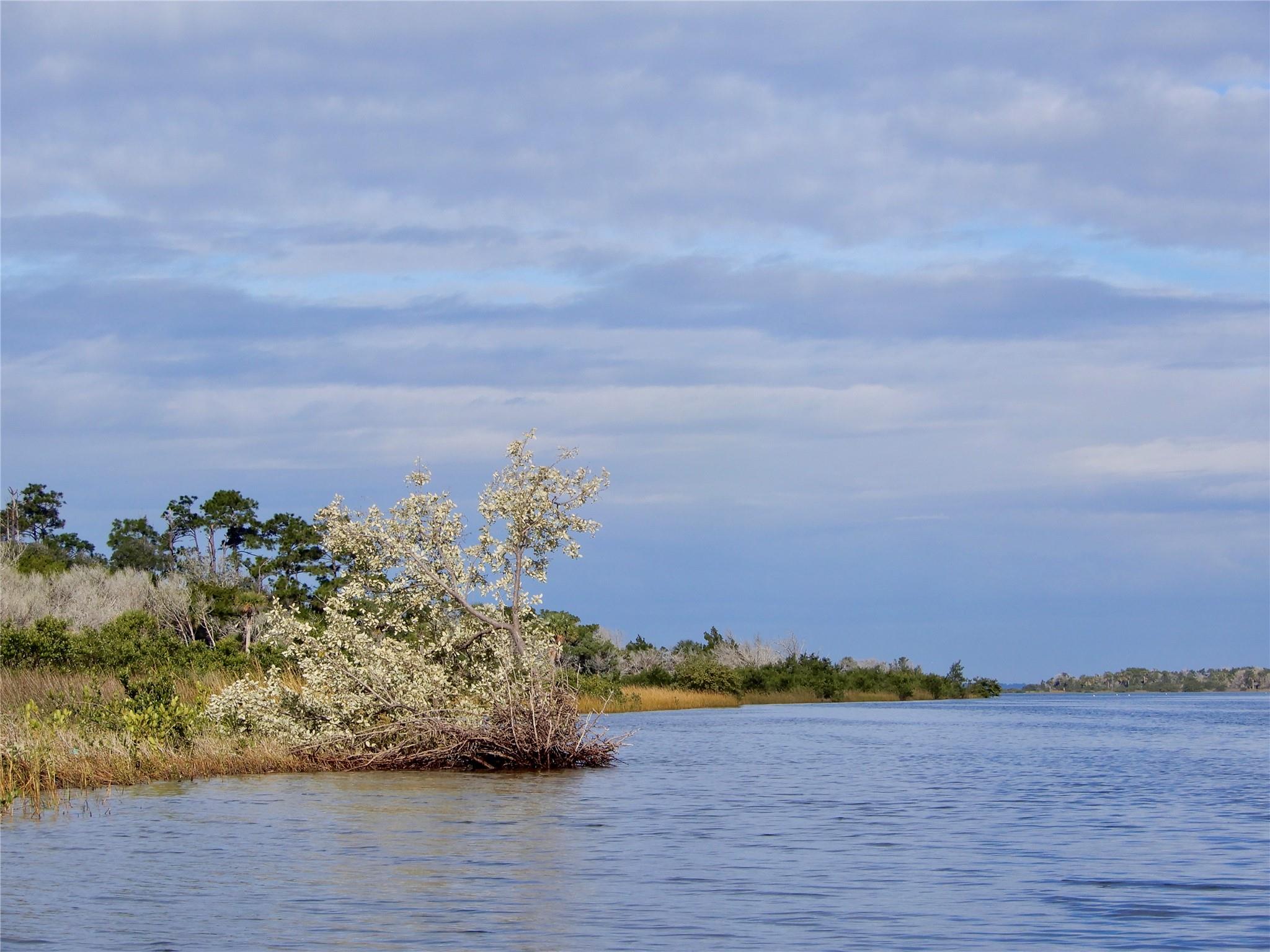 Palm Harbor - Residential