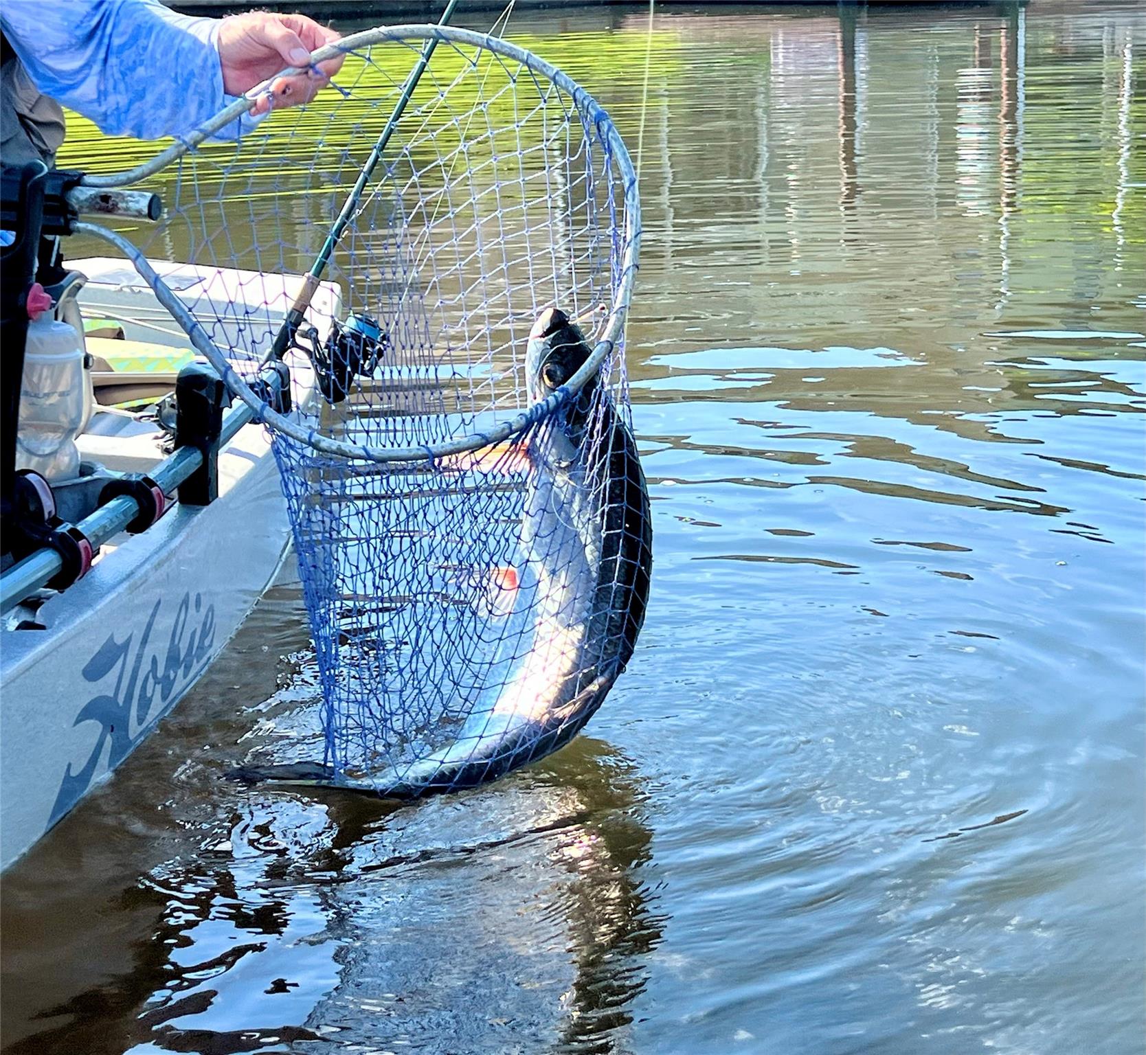 Palm Harbor - Residential