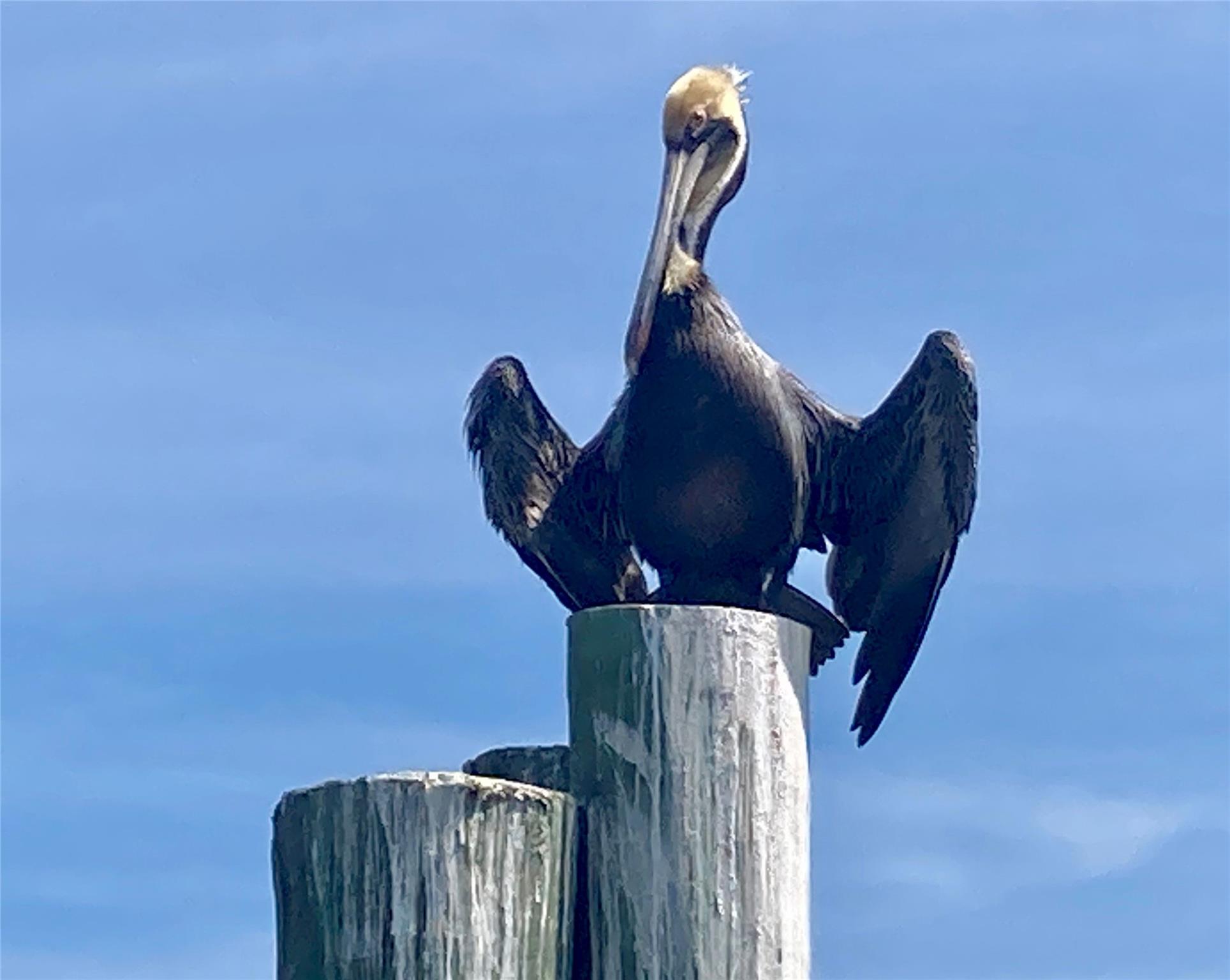 Palm Harbor - Residential