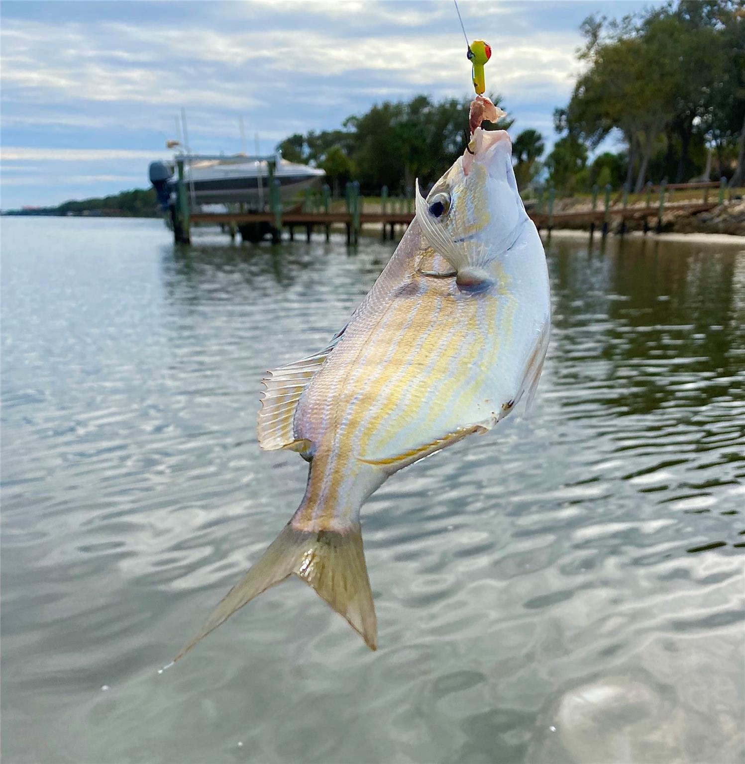 Palm Harbor - Residential