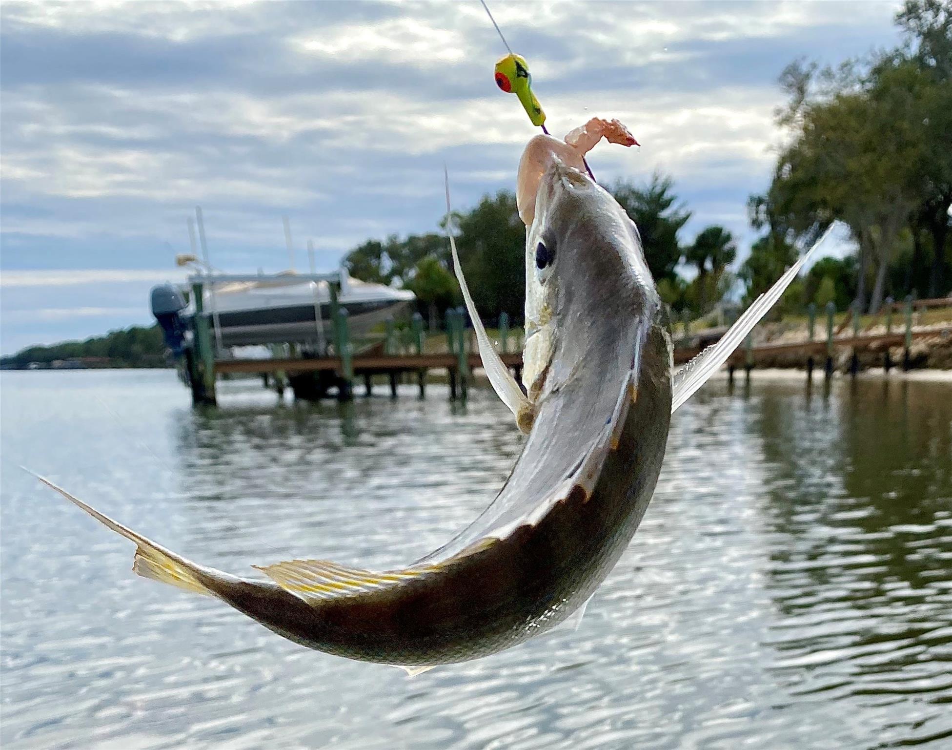 Palm Harbor - Residential