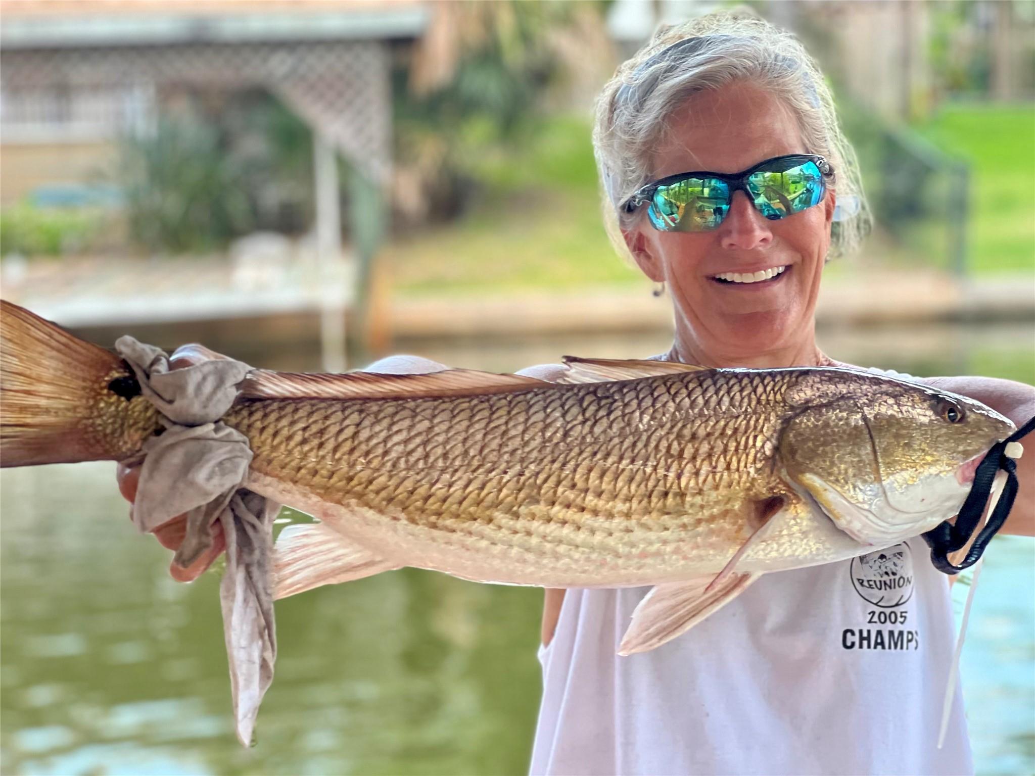 Palm Harbor - Residential