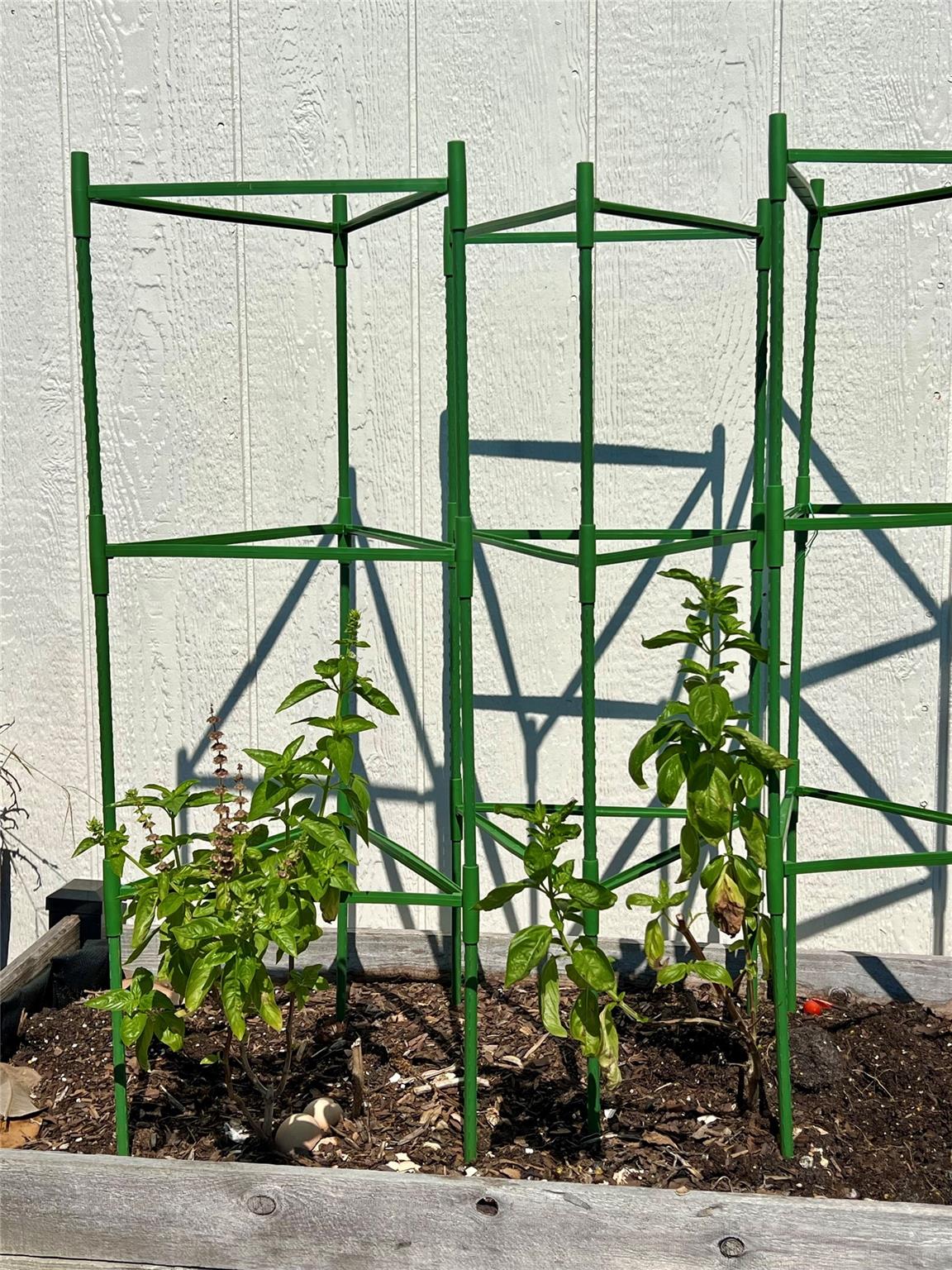 Palm Harbor - Residential