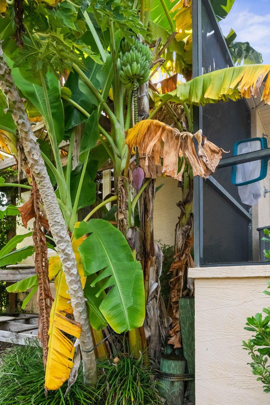 Palm Harbor - Residential