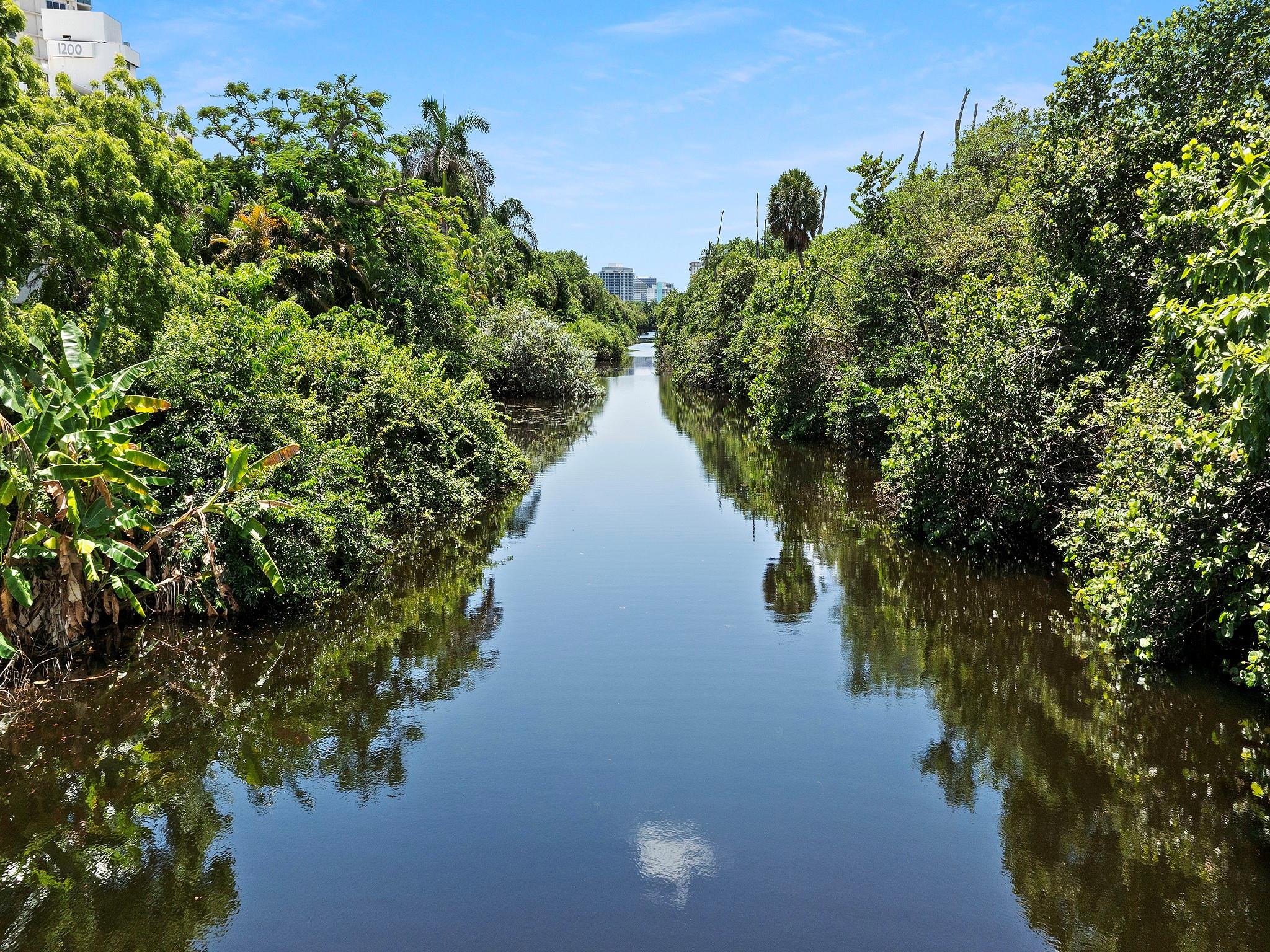 LAS OLAS BY THE SEA EXT - Land