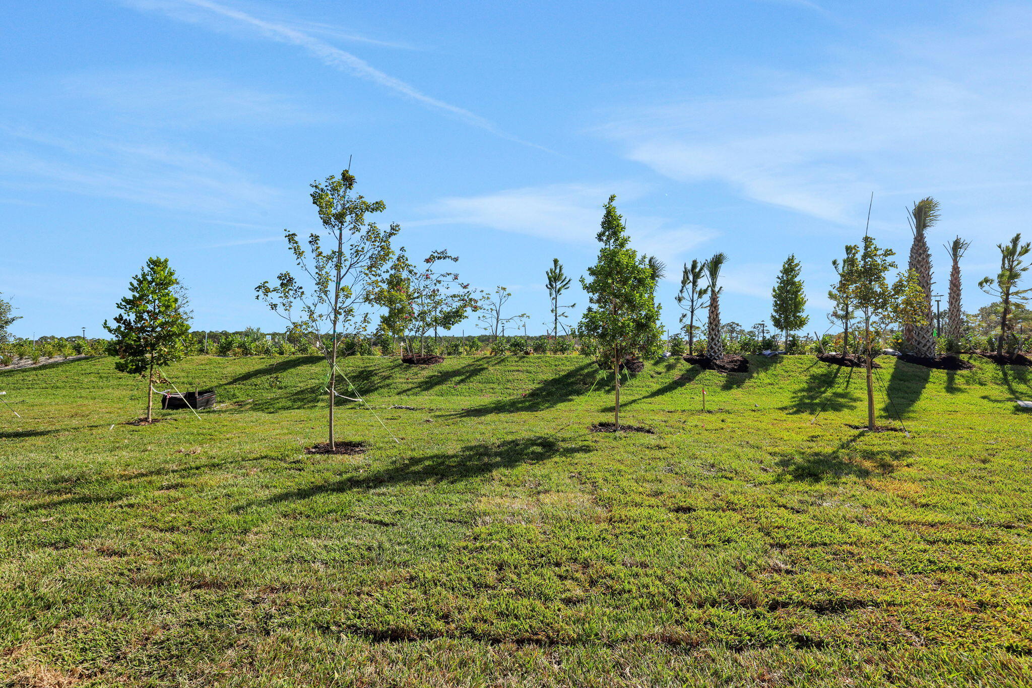LTC RANCH WEST POD 2 PHASES 1 AND 2 - Residential
