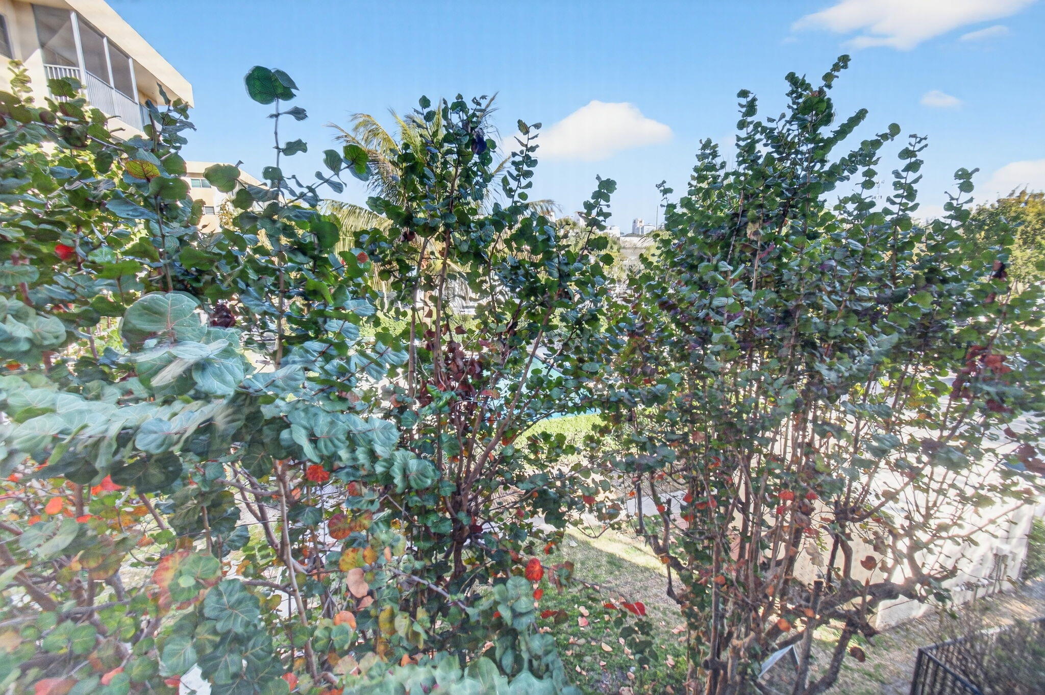 BCP CONDO - Residential Lease