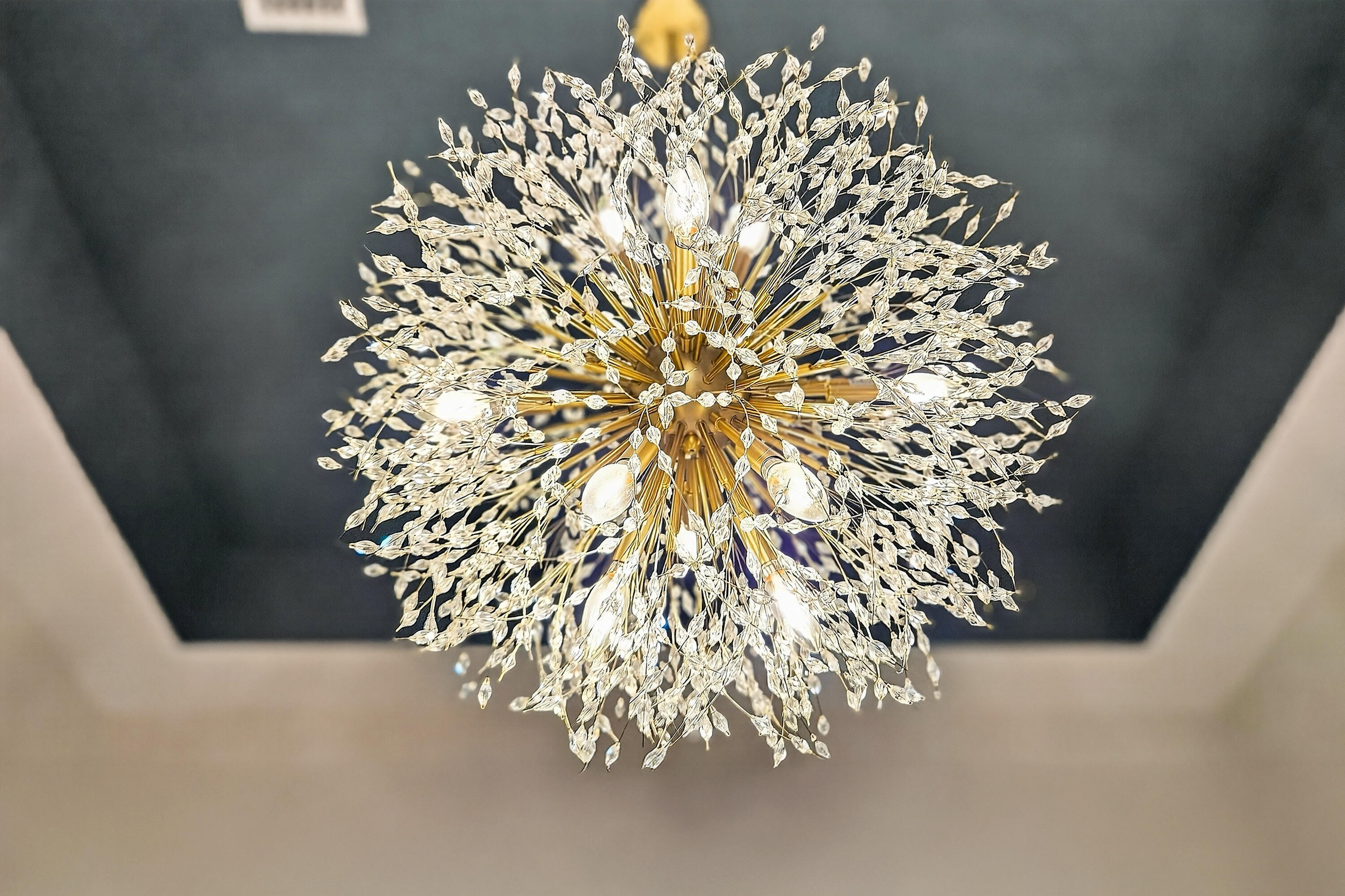 Valencia Grove at Riverland - Residential