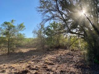 OFF grid private primitive camping or hunting 2.5- acre lot or just secluded privacy. yet just 3 lots away from a main paved road. So much to enjoy in Okeechobee County. Come to The Kissimmee River Preserve State Park West of this area as well is the Kissimmee River. The Kissimmee River flows into Lake Okeechobee and is well known for some of the best fishing. whether you like Fishing, hunting, mudding agriculture or just privacy here you have it all.