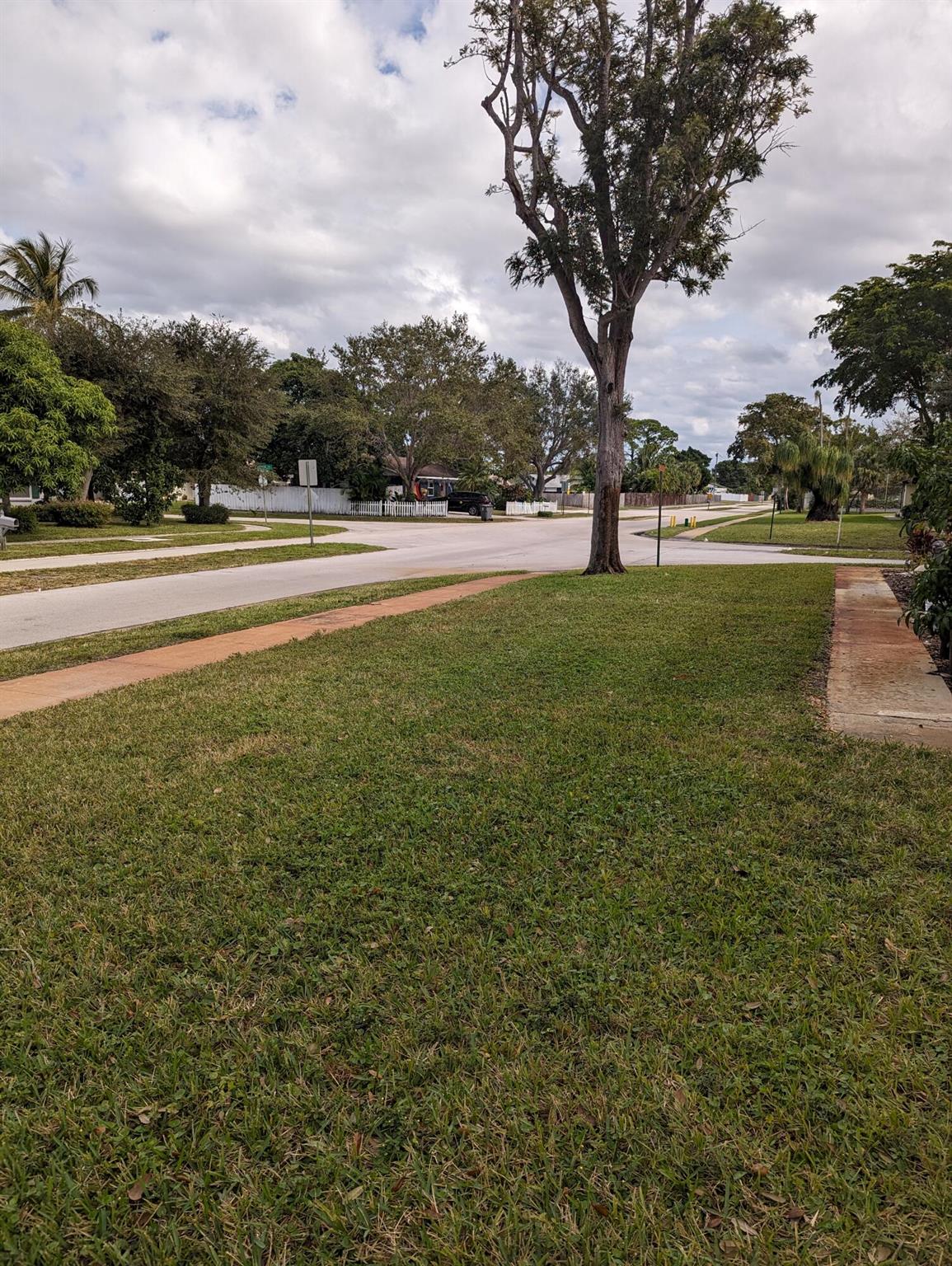 FOREST CONDO - Residential