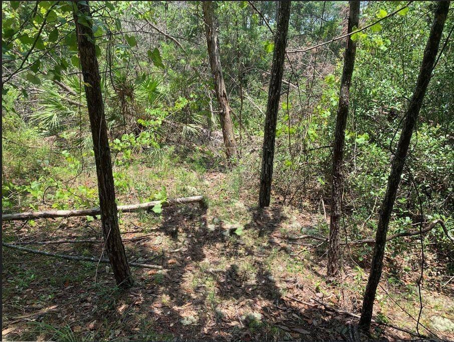Wooded building lot in St. Johns Riverside Estates. Only $1k down with owner financing