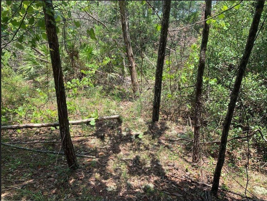 Wooded building lot in St. Johns Riverside Estates. Only $1,500 down with owner financing