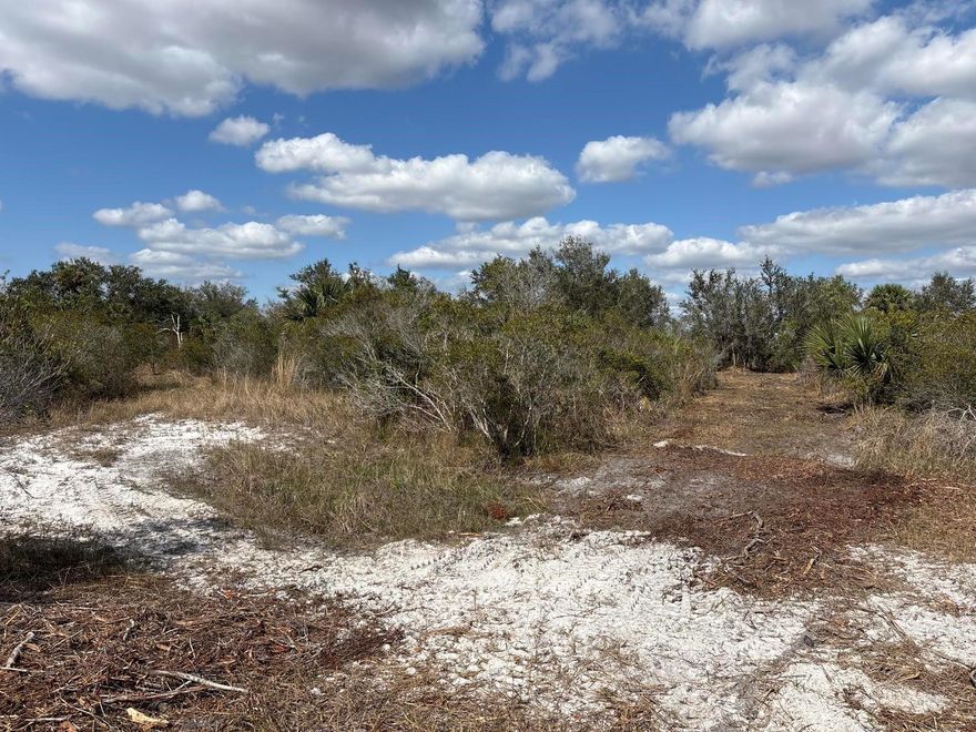 1.25 acres in Viking Estates. Close to the Kissimmee Prairie State Park. Bring your 4 -wheelers. This property is not only ideal for recreational uses such has camping, hunting and shooting, but it’s agricultural as well.
Owner financing available
