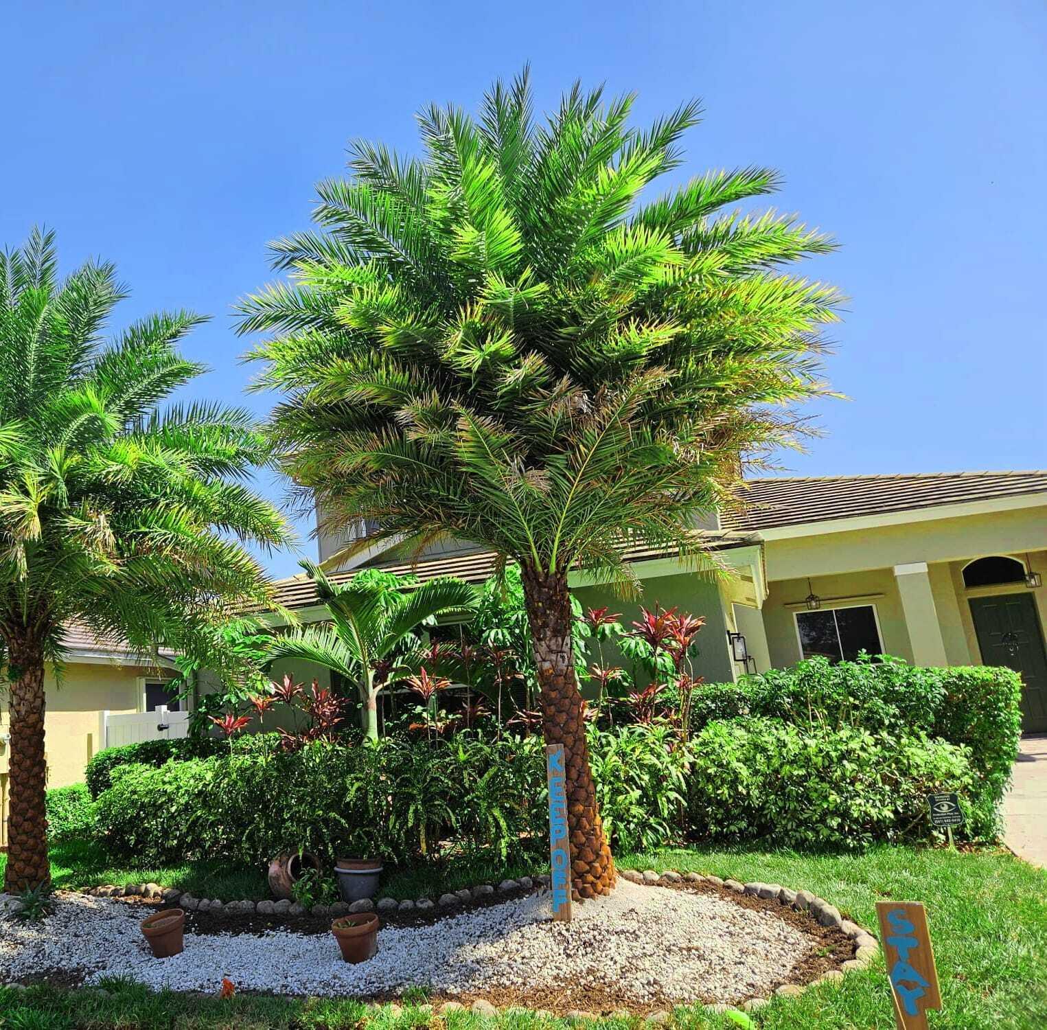 7861 Manor Forest Lane