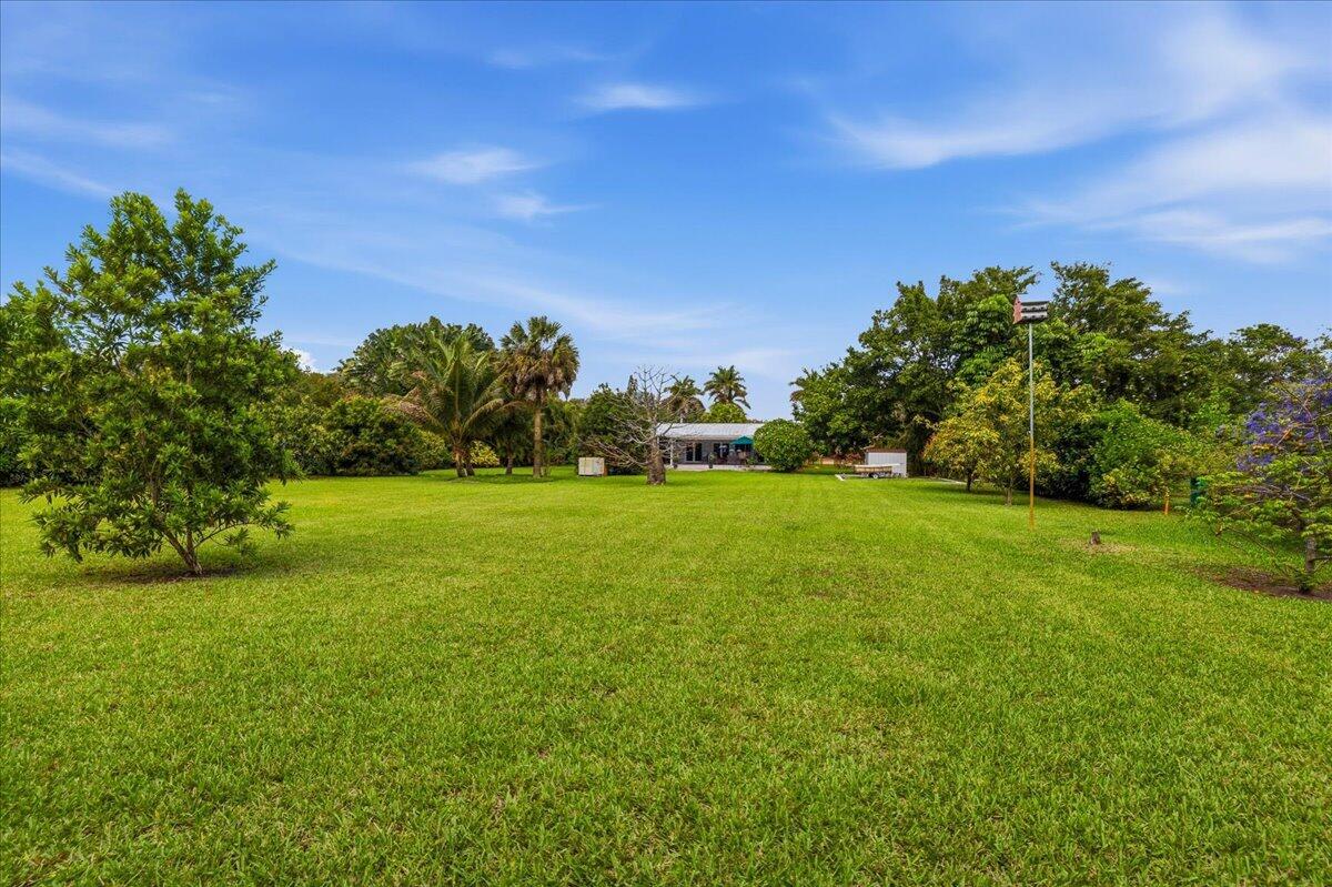 FLA FRUIT LANDS CO - Residential