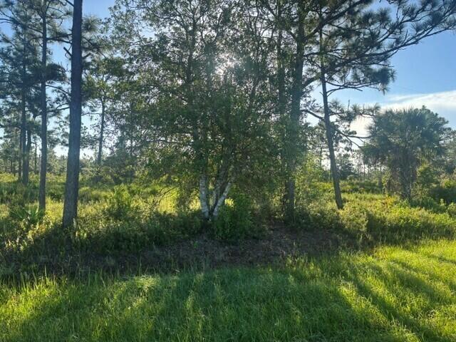 0 N Hwy 441