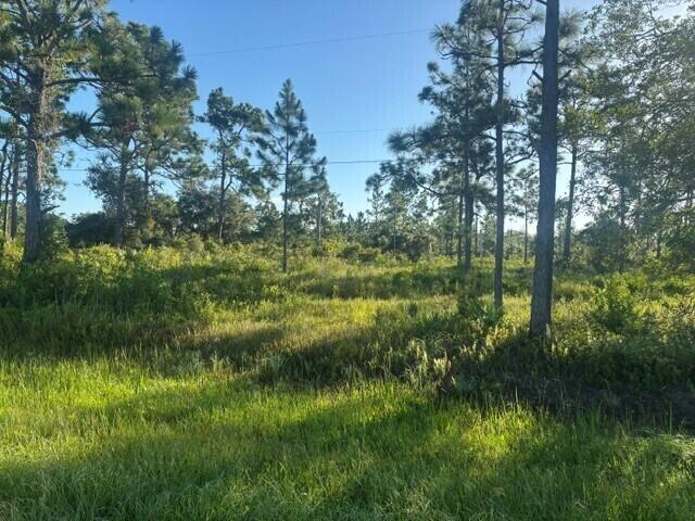 0 N Hwy 441