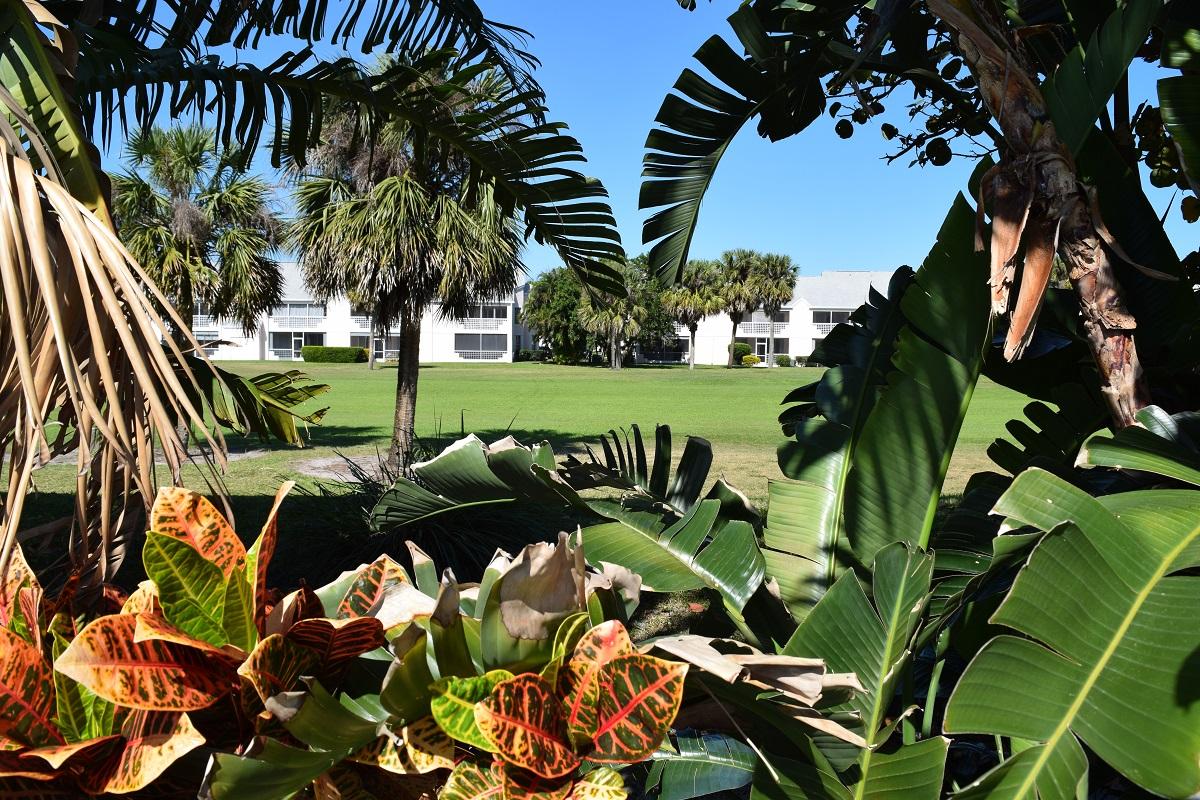 EGRET LANDING AT JUPITER - Residential