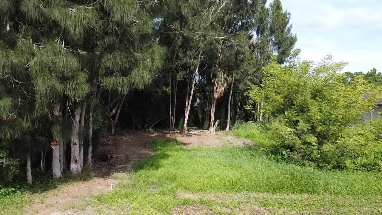 Come build your dream home in this .21 acre lot located in Basswood Estates. Property has tall beautiful trees that will add curve appeal to your newly built home. Lot is mainly wooded. Come check it out TODAY!