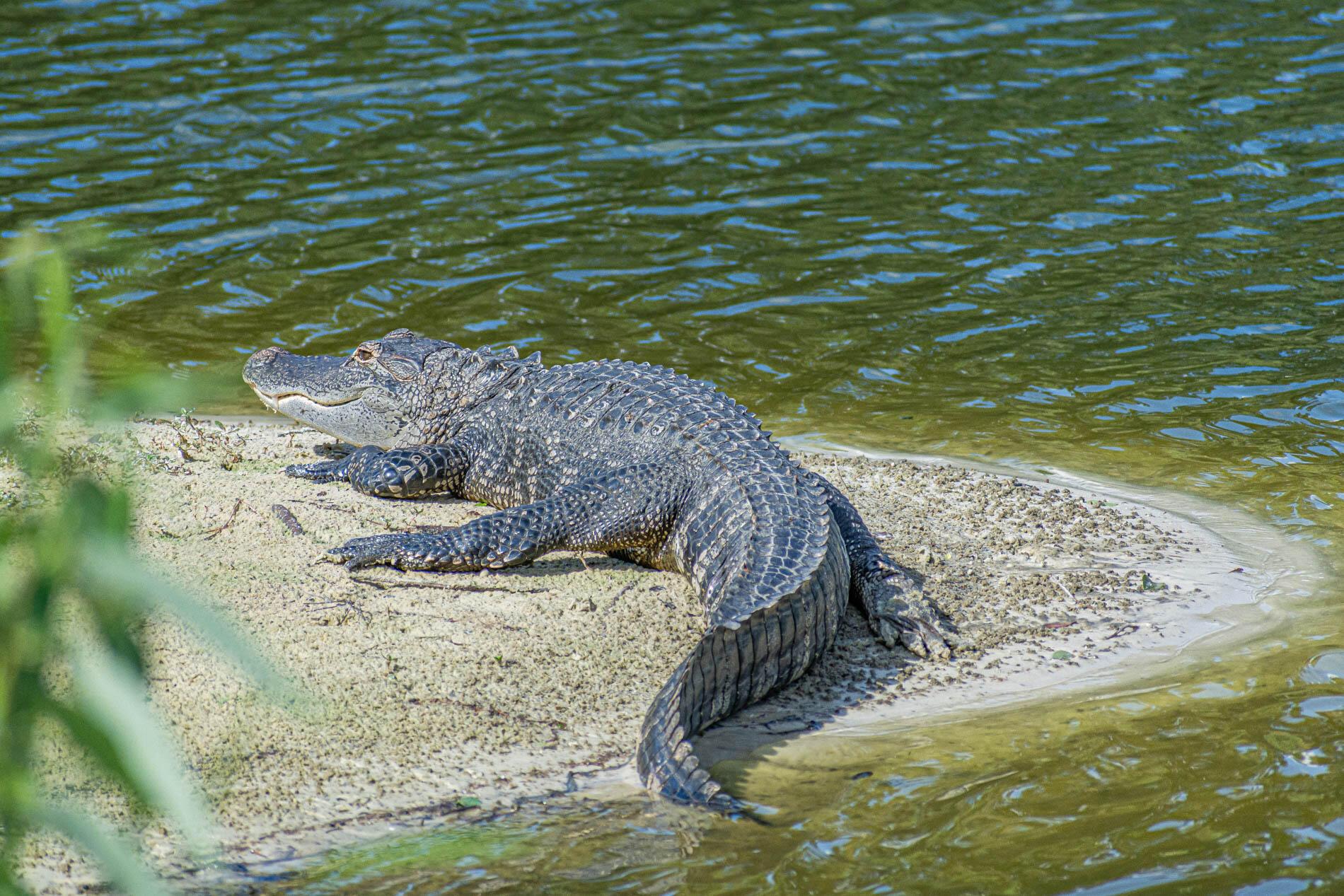 SANDPIPER BAY - PORT ST LUCIE SECTION 20 - Residential