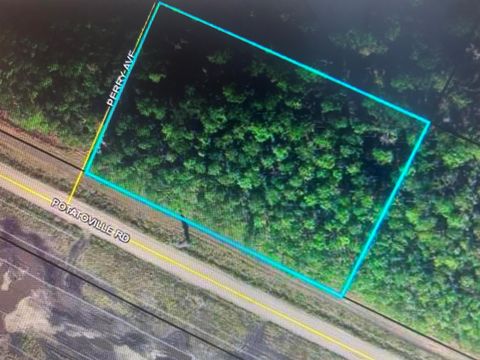 579 Perry Ave Bunnell FL 32110