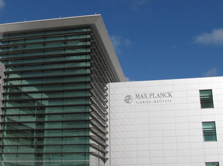 THE TOWER - Residential