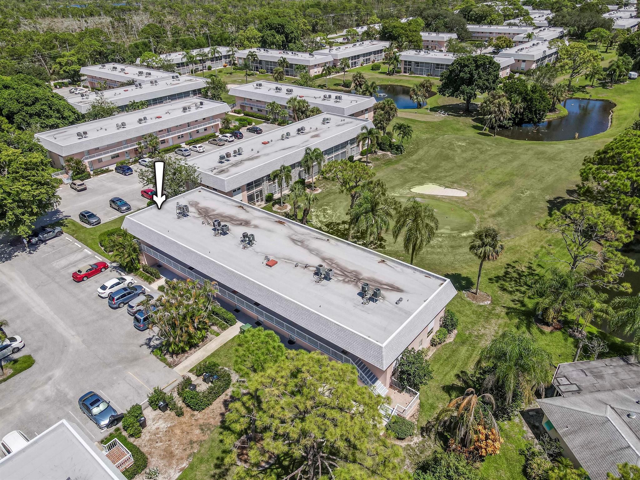 Little Club - Residential