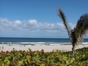 High Point West Condo - Residential