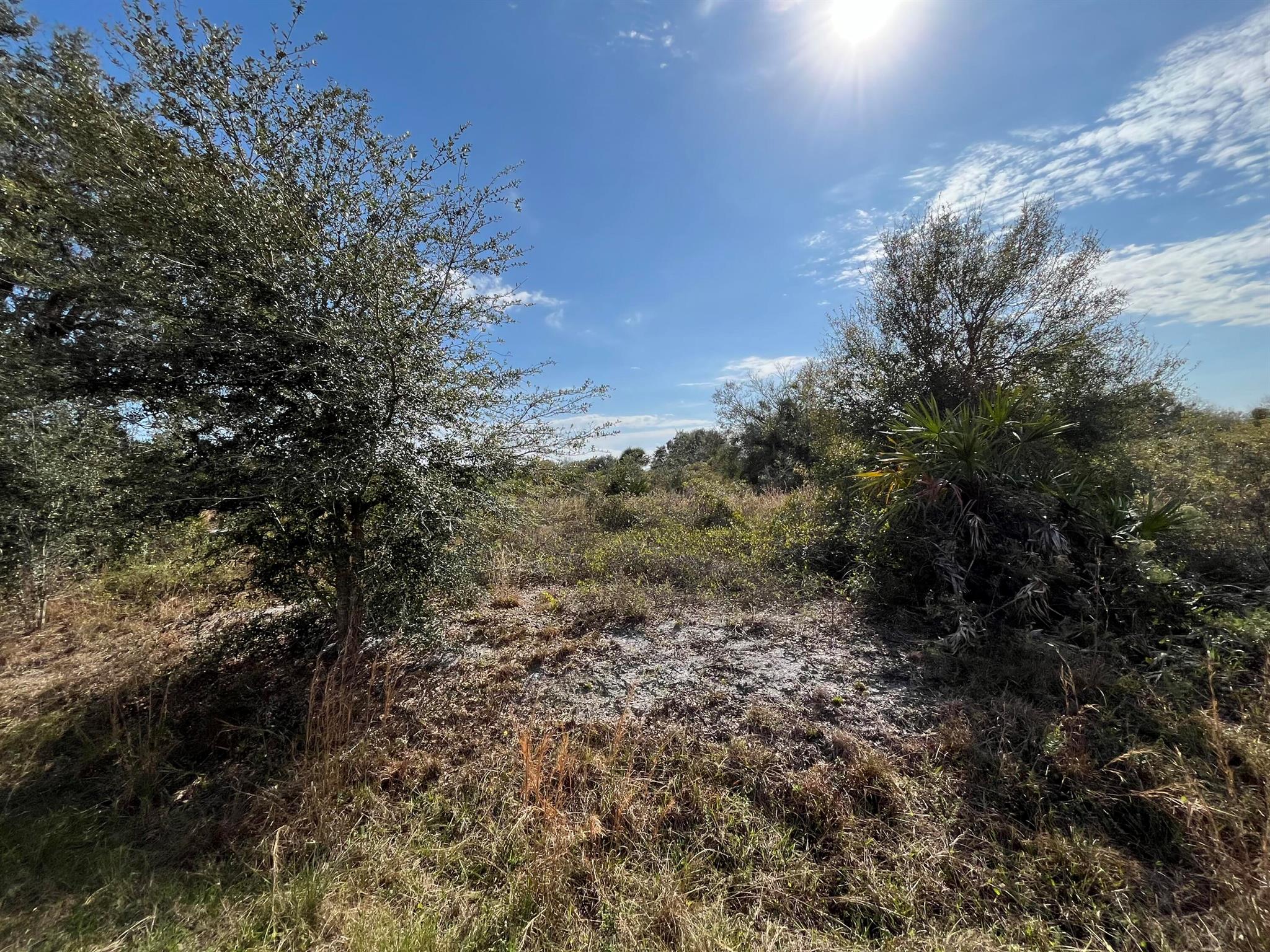 Envisioning your dream home on a spacious 1.25-acre lot in Okeechobee County offers the perfect blend of privacy and accessibility. The area is not just a haven for those seeking solitude but also a paradise for outdoor enthusiasts. The nearby Kissimmee River Preserve State Park and the flowing Kissimmee River into Lake Okeechobee are hotspots for some of the best fishing experiences. Whether your interests lie in fishing, hunting, agriculture, or simply enjoying a private life away from the hustle, this locale promises a lifestyle filled with the joys of the natural Floridian landscape.