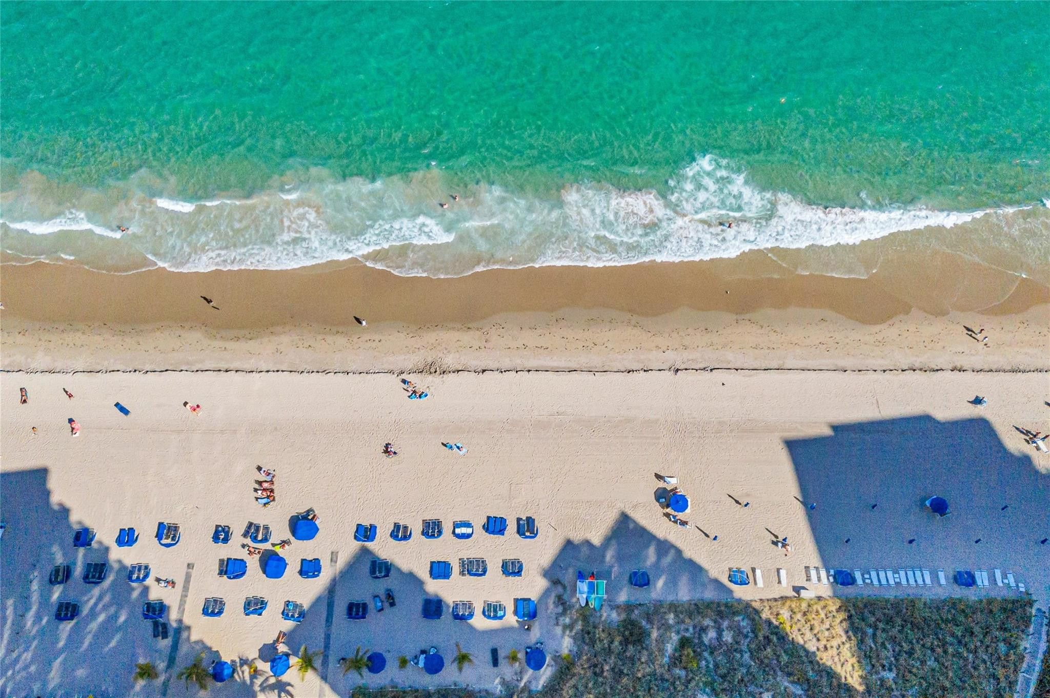 Royal Ambassador - Residential