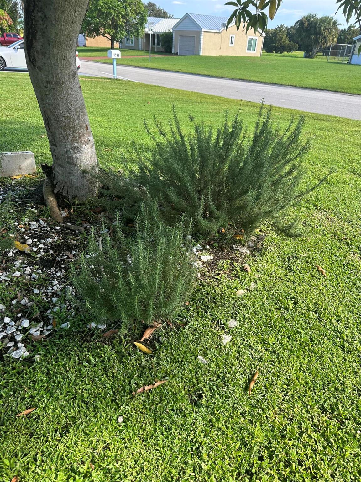 PORT ST LUCIE SECTION 49 - Residential Lease