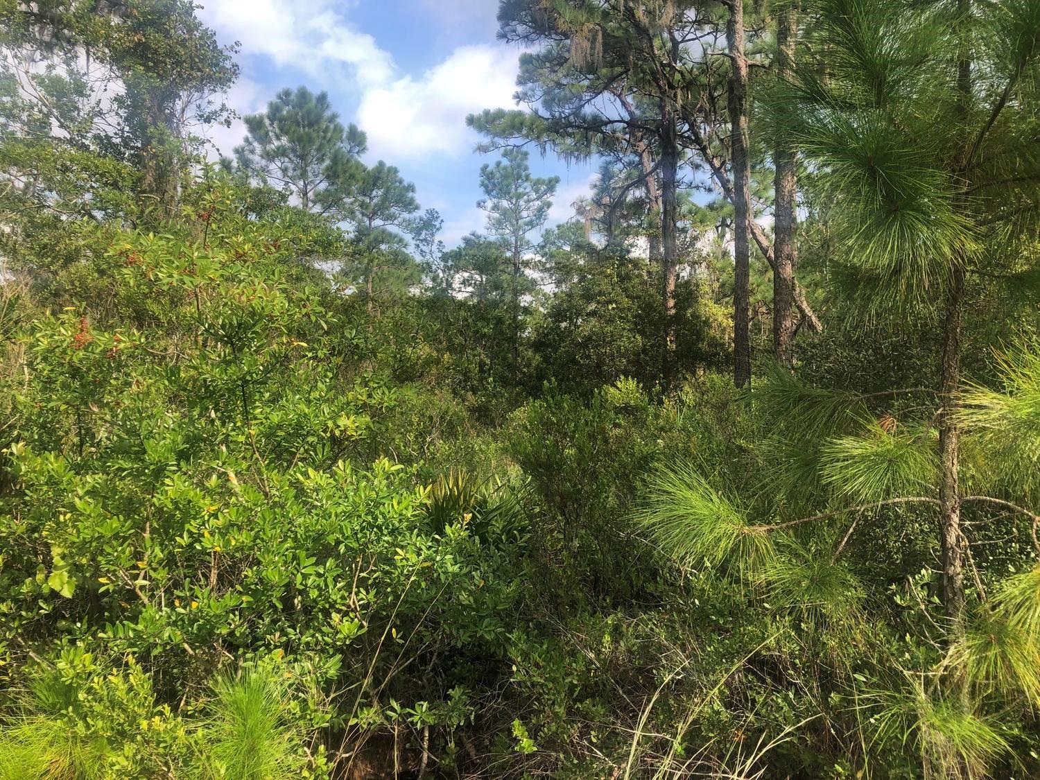 Central Lake Estates - Land